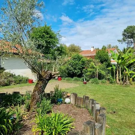 Villa House With Heated Pool And Jacuzzi