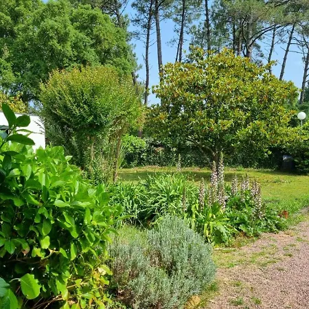 House With Heated Pool And Jacuzzi *