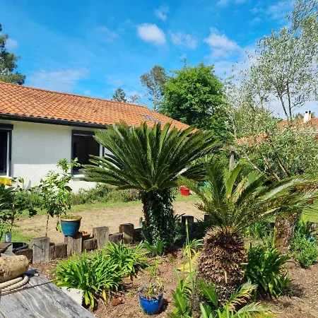 House With Heated Pool And Jacuzzi Villa