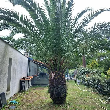 House With Heated Pool And Jacuzzi Villa *