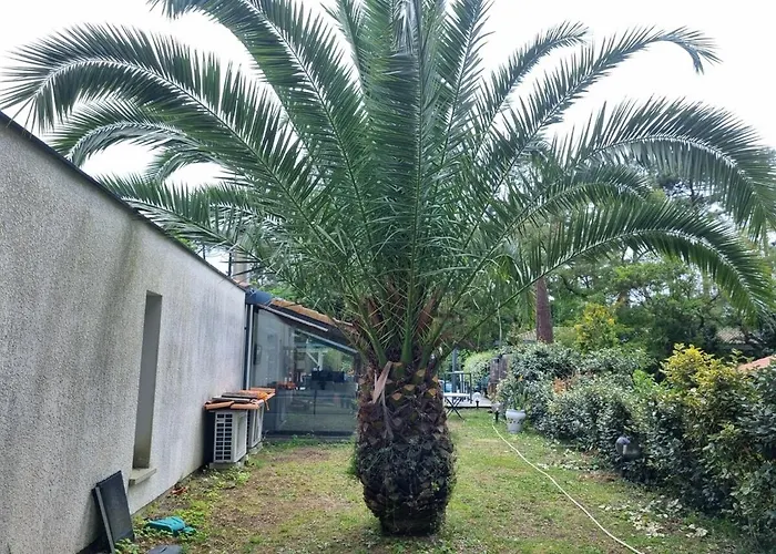 House With Heated Pool And Jacuzzi Villa *